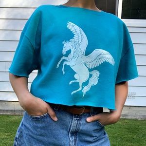 Oversized cropped Pegasus sweater